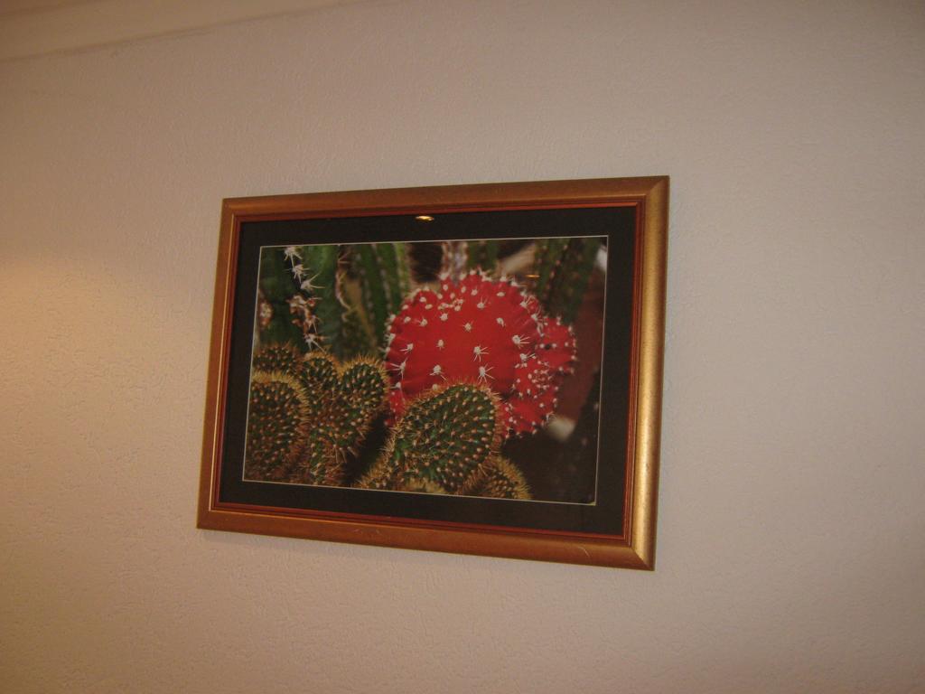 Apartment Vistanova Vrdnik Habitación foto