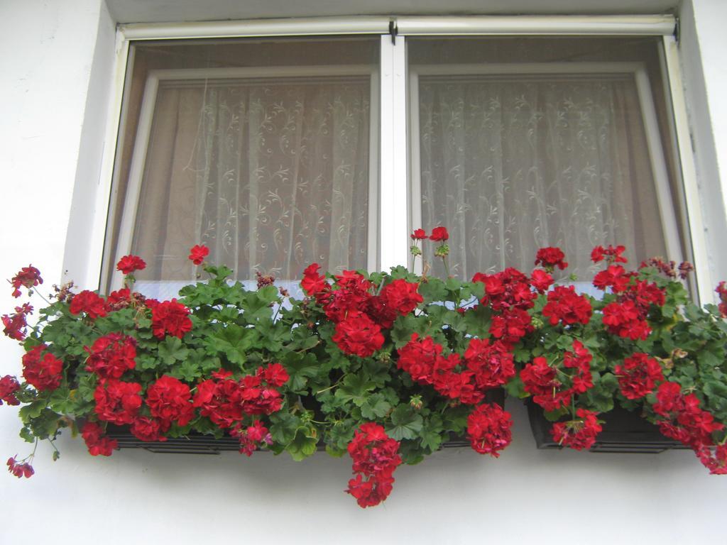 Apartment Vistanova Vrdnik Exterior foto